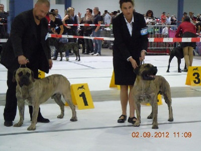 El Véhêmach' - International Dog Show of Luxemburg - 02/09/2012