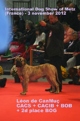 El Véhêmach' - Léon de CanMuç : 2° Meilleur chien du groupe 2 !!!!